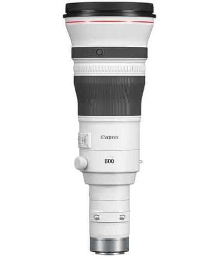 Canon RF 800mm f/5.6 L IS USM Lens