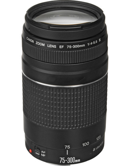 Canon EF 75-300mm f/4-5.6 III USM Lens