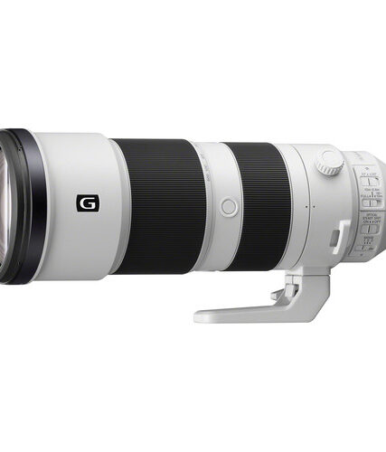 Sony FE 200-600mm f/5.6-6.3 G OSS Lens