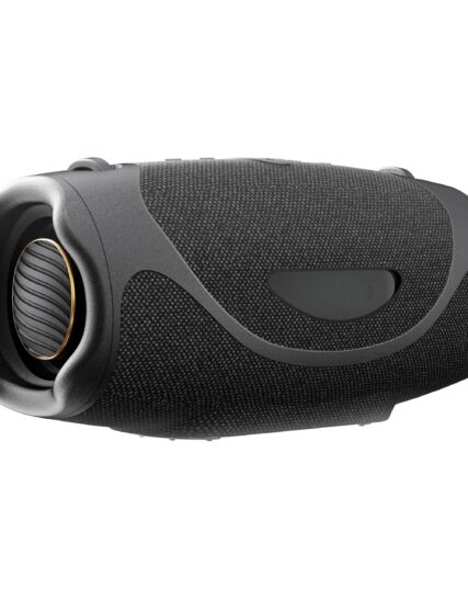 Hisense Flexboom Portable Speaker
